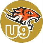 Mini Gold Tigers