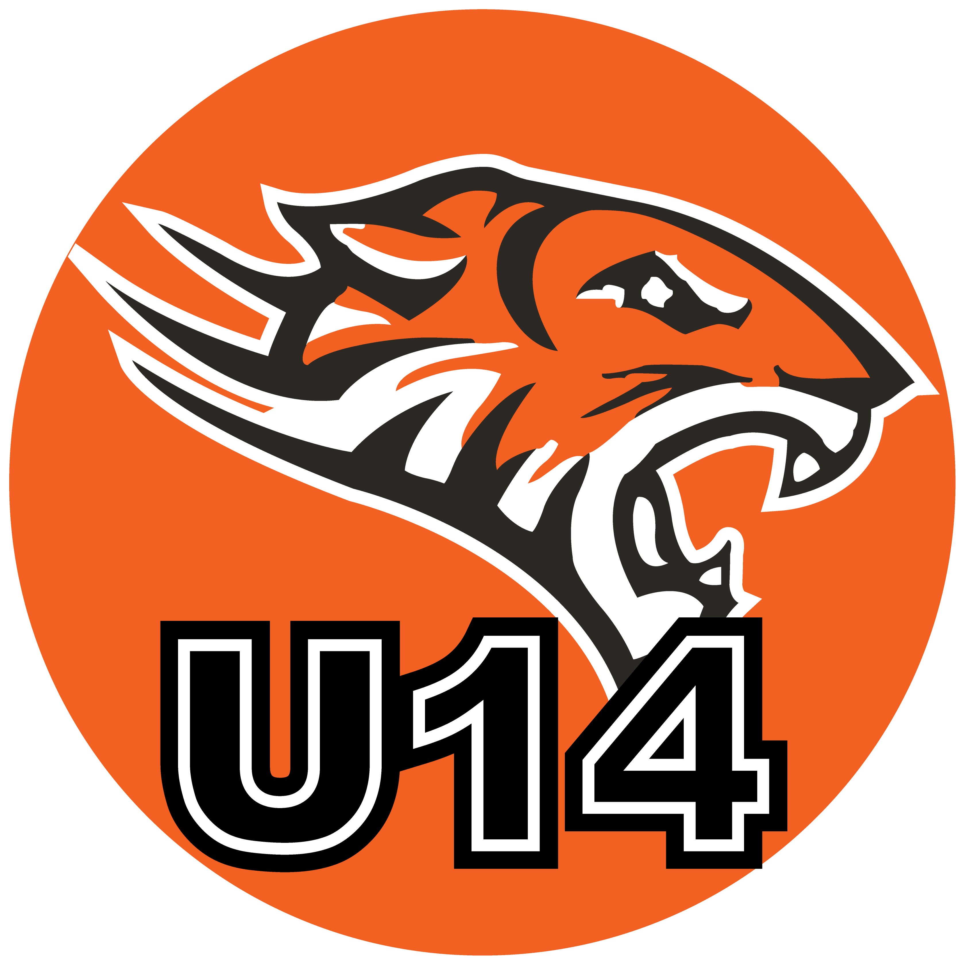 Jr Orange Tigers