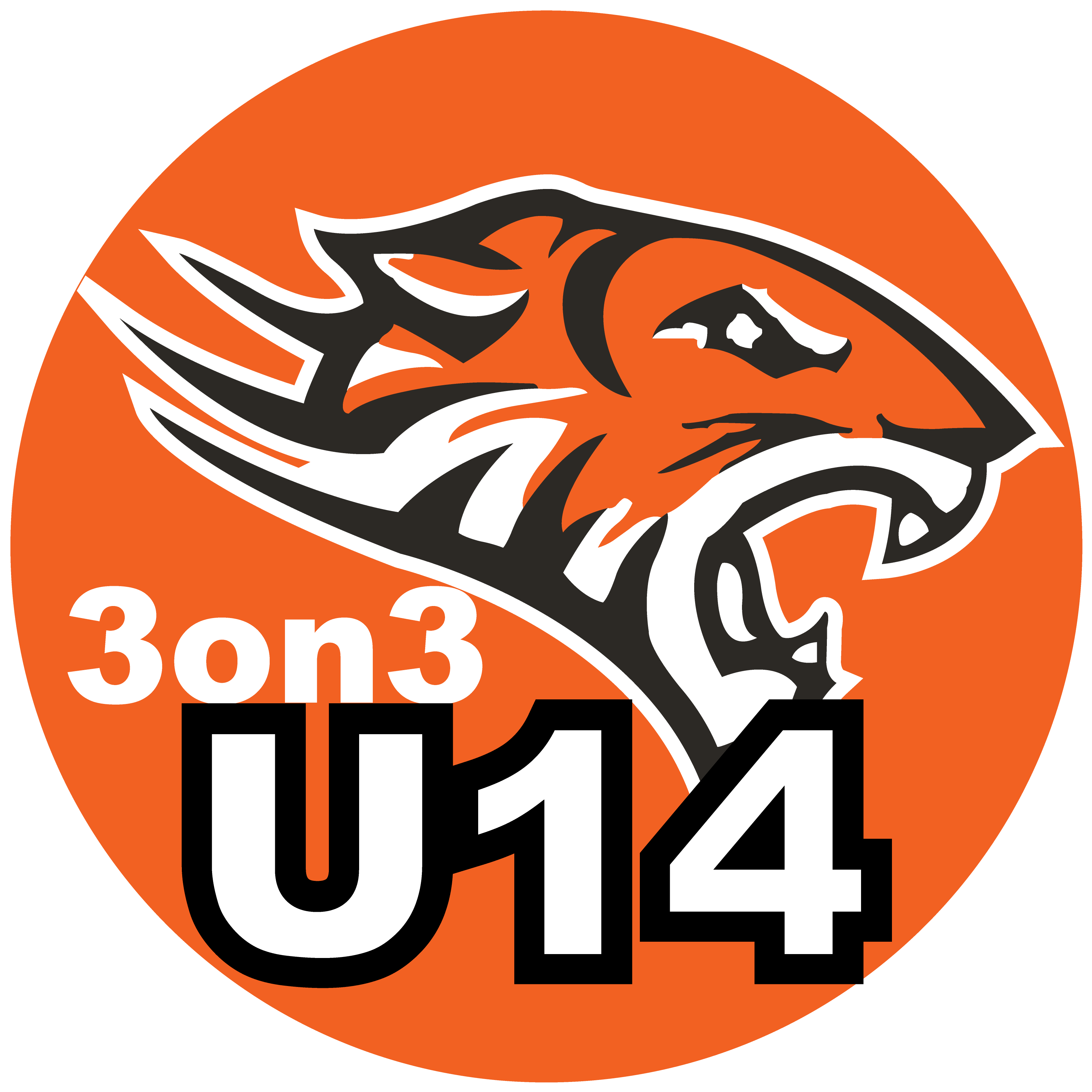 Jr Orange Tigers