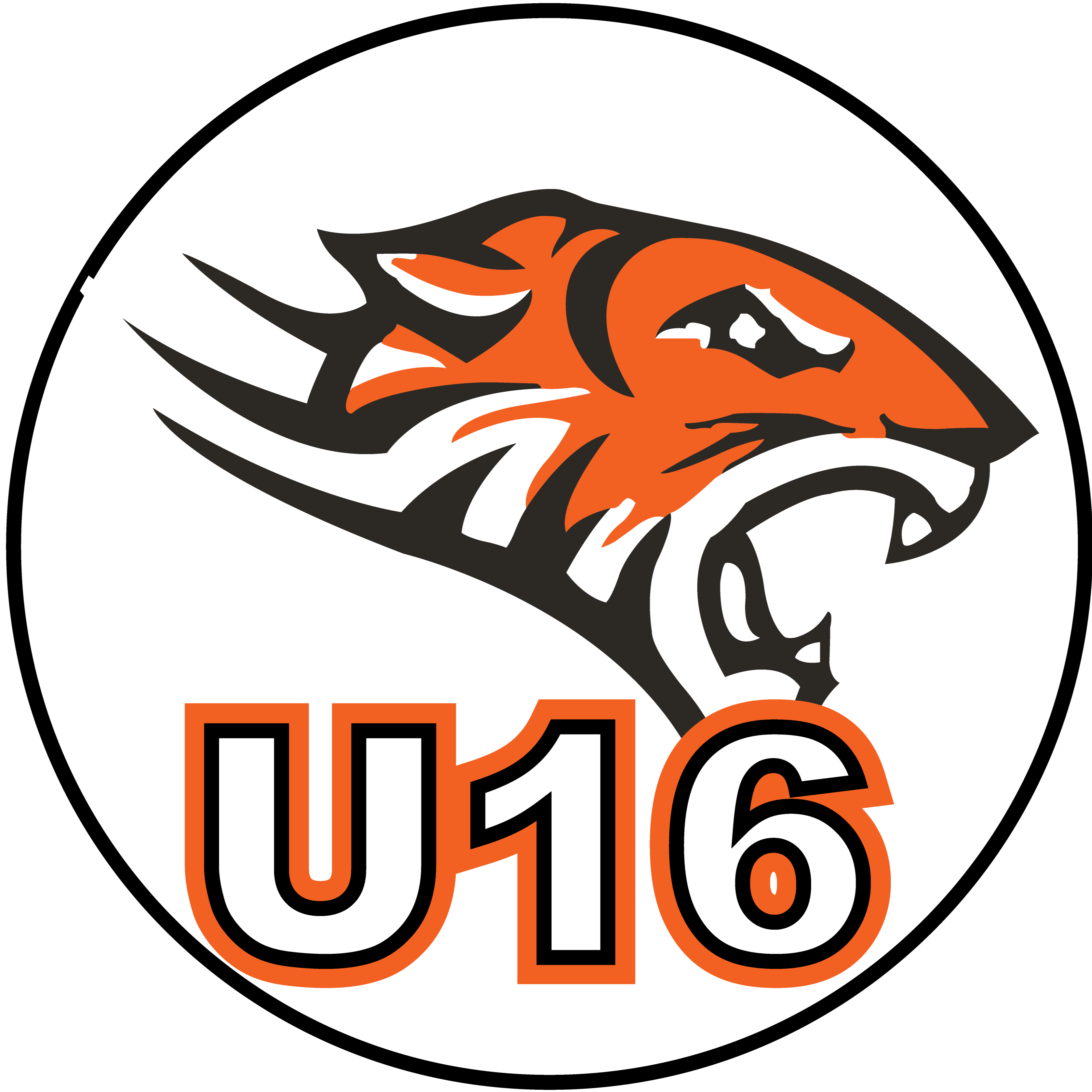 Jr White Tigers