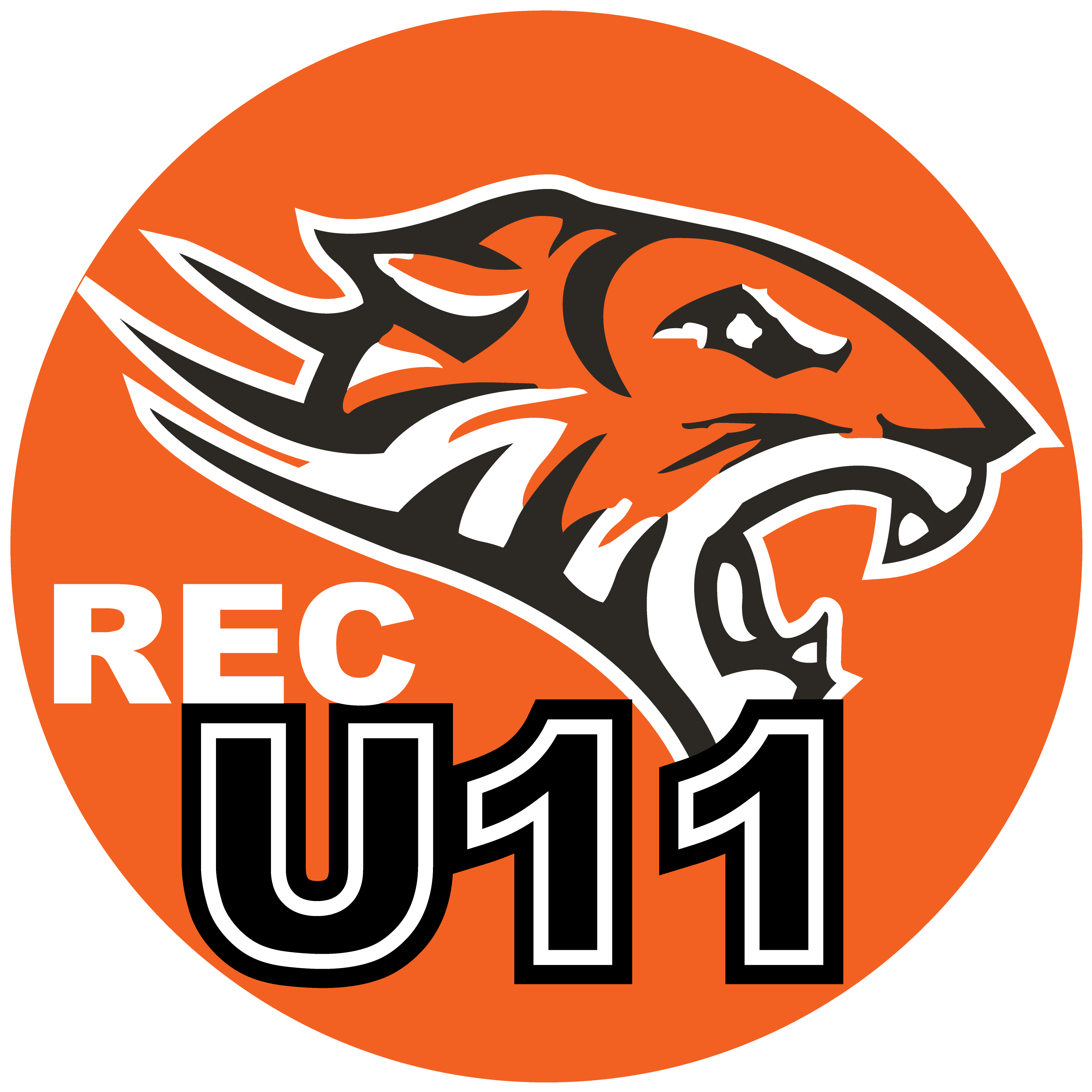 Little Orange Tigers