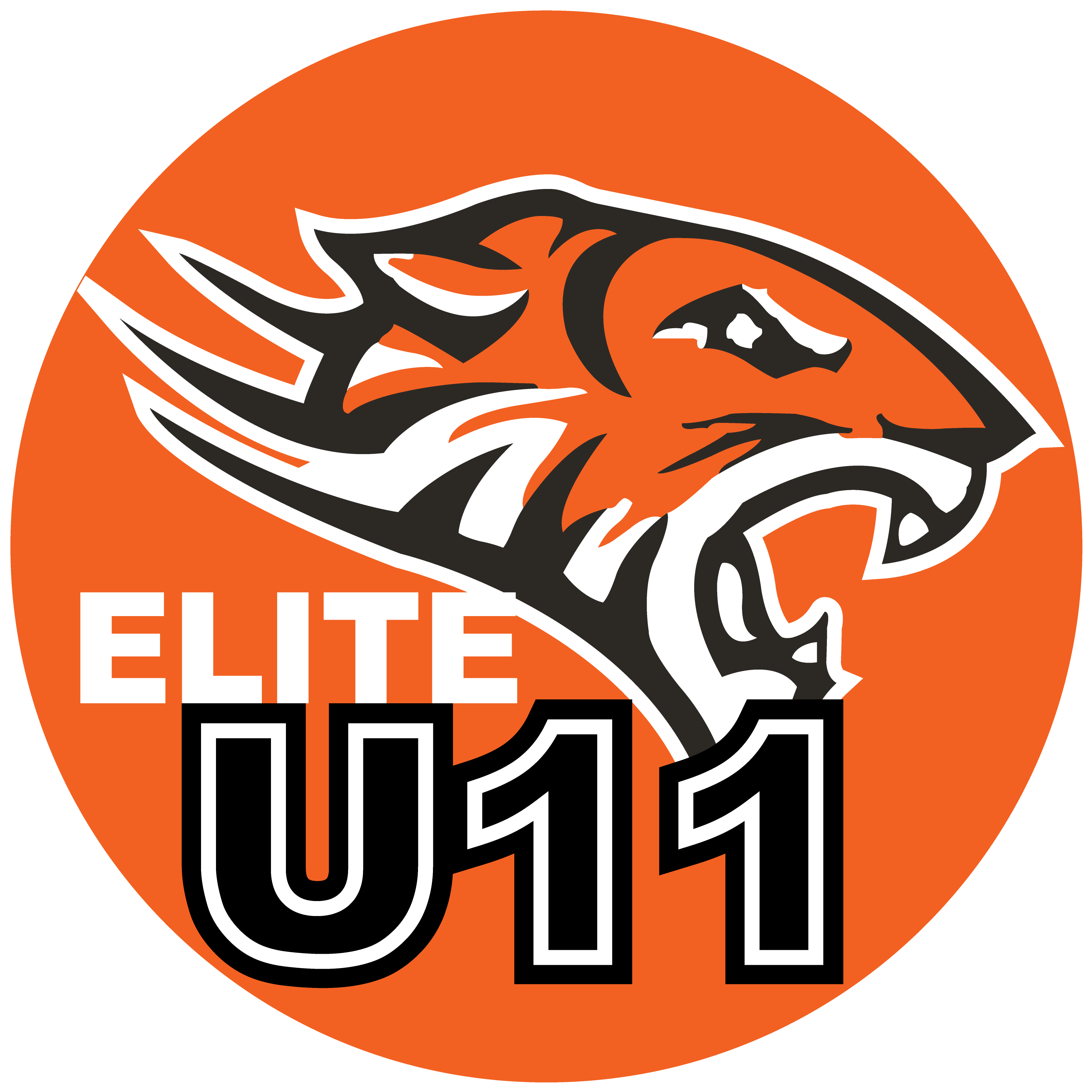 Little Orange Tigers