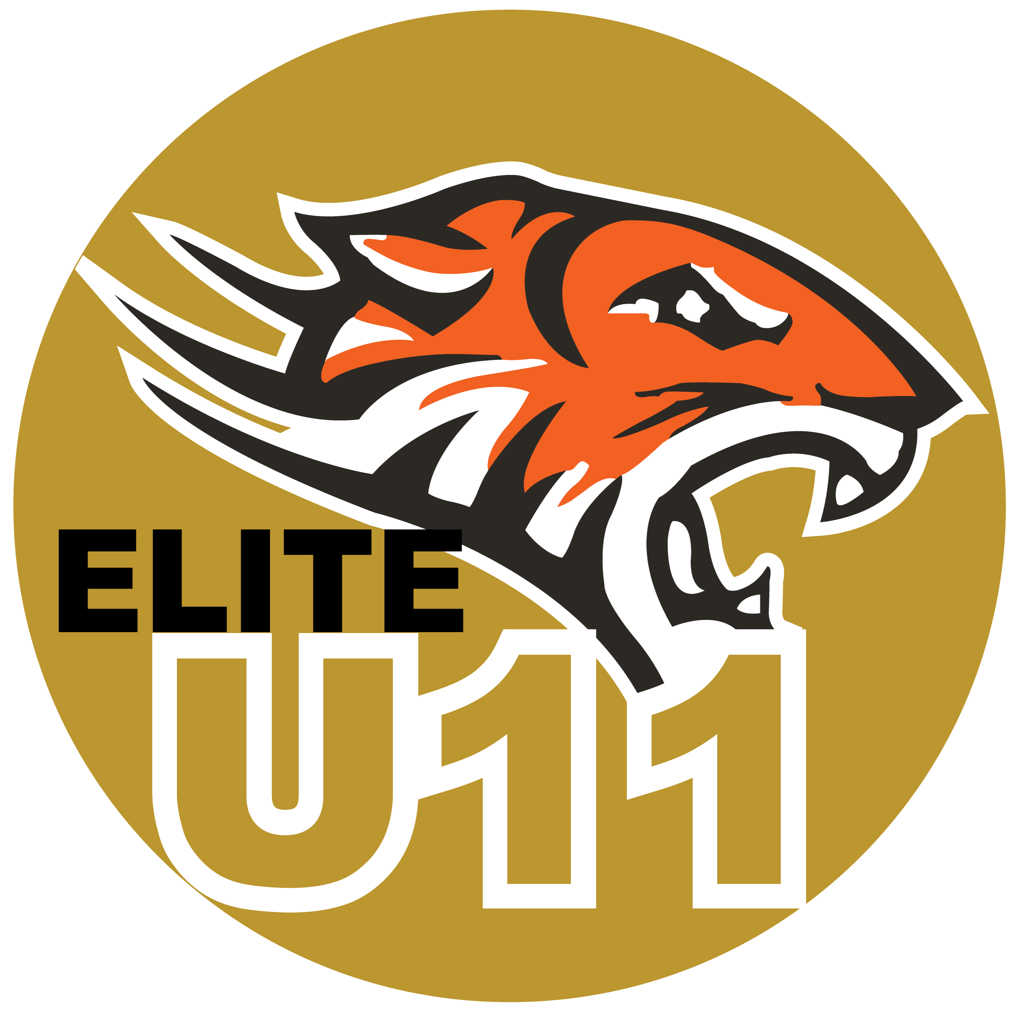 Little Gold Tigers